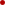 حمص