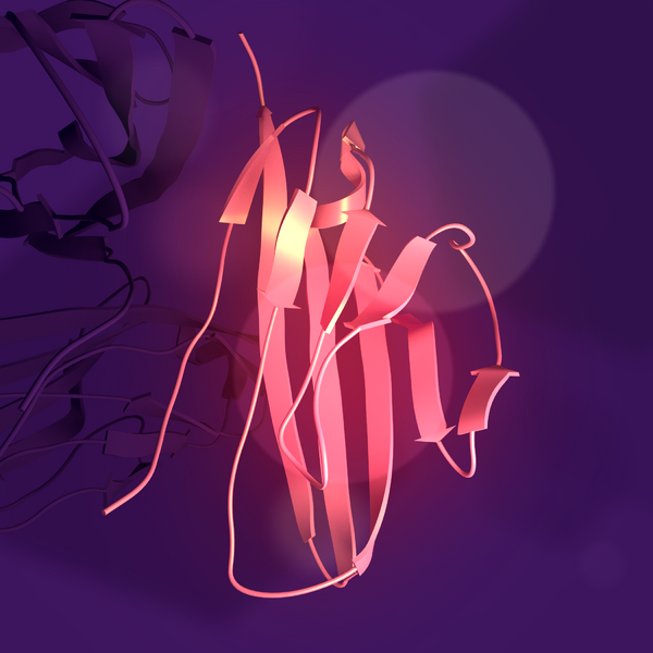 ملف:SCN3B.png