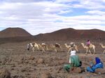 Caravane hoggar1.jpg