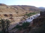Gafait 2016.jpg