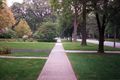 Sidewalk in Oak Park, Illinois, USA. There is a parkway to the right of the sidewalk.