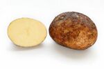 Potato and cross section.jpg
