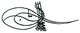 Tughra of Mehmed III