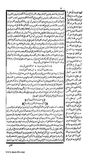 الصفحة التالية ←