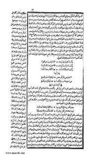 الصفحة التالية ←