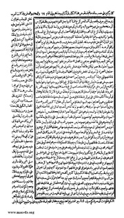 الصفحة التالية &larr;