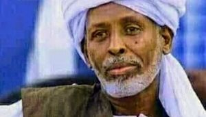 شرقالسودانانفصال.jpg