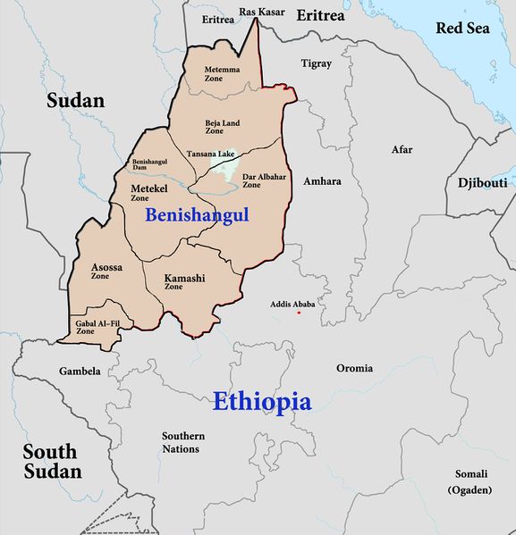 ملف:Benishangul independence9sept2020-en.jpg