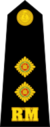 Lieutenant