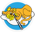"Tiger Gazer". 12th Tactical Reconnaissance Squadron