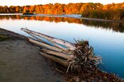 Pond at south end of Rouge 1.jpg