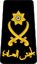 15. JLF-MG.svg