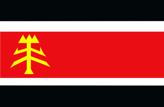 ملف:Bandera del MIM.svg