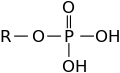 الفوسفات.