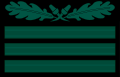 SS smock insignia