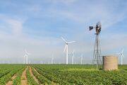 Renewable energy became more popular for sustainable energy to tackle global warming.