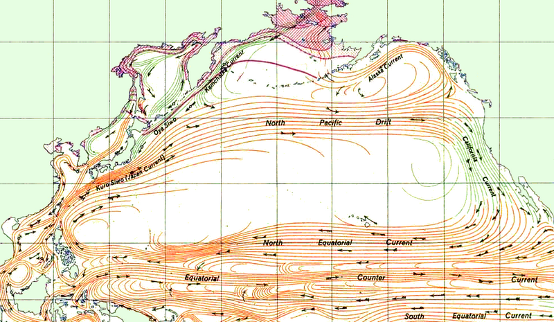 ملف:North Pacific Gyre.png