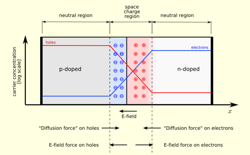 ملف:Pn-junction-equilibrium.png