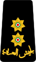 09. JLF-1LT.svg
