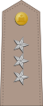 Lieutenant-général (الجيش الهايتي)