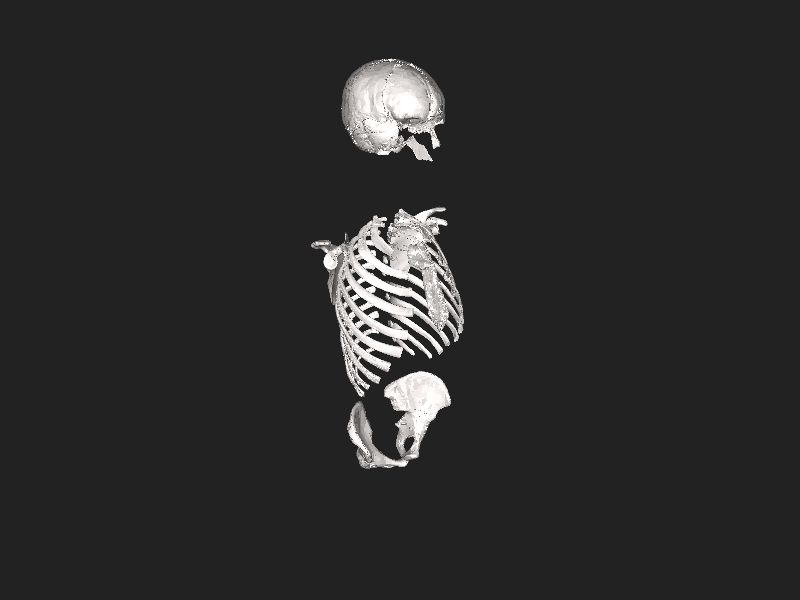 ملف:BodyParts3d Flat bone.stl
