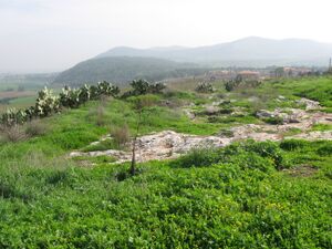 TelIzrael006.jpg