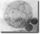 Stub icon