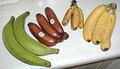 Fruits of four different banana cultivars. (Bananas are berries.)