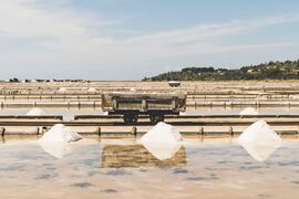 Sečovlje Saltworks