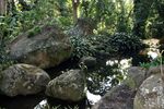 Sítio Roberto Burle Marx 31.jpg