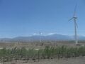 Goldwind turbines in operation at a wind farm Outside Urumqi