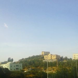 Albaha9021 - 2.jpeg