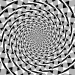Fraser spiral.svg