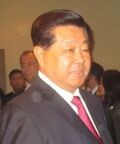 Jia Qinglin.jpg