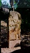 Stela 21 in front of Temple VI at Tikal Guatemala.jpg