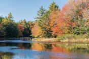 Autumnal Magic (10148865034).jpg