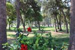 Montazah Garden 00 (19).JPG