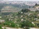 Lifta9.JPG