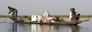 Pirogue 010 cropped.jpg