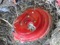 Tire shaft.jpg