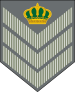04. JLF-SFC.svg