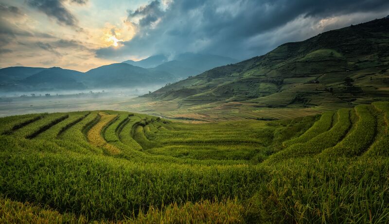 ملف:Agriculture in Asia.jpg