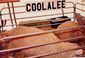 Coolalee.jpg