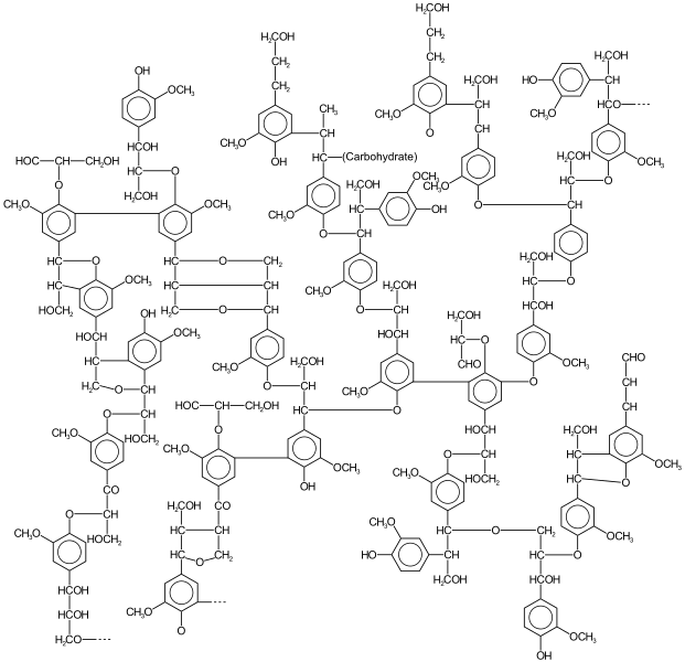 ملف:Lignin structure.svg