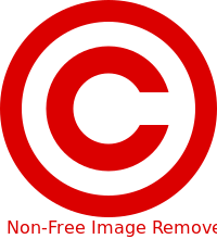 ملف:NonFreeImageRemoved.svg