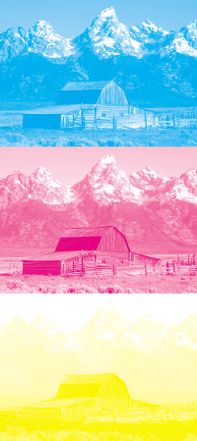 The image above, separated for printing with process cyan, magenta, and yellow inks.