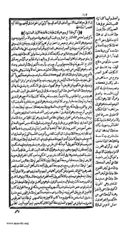 الصفحة التالية &larr;