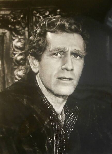 ملف:John Anderson The Virginian.JPG