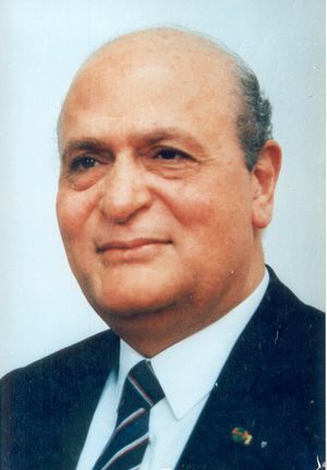 حسن الألفي.jpg