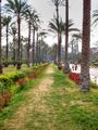 Montaza Palace garden.jpg
